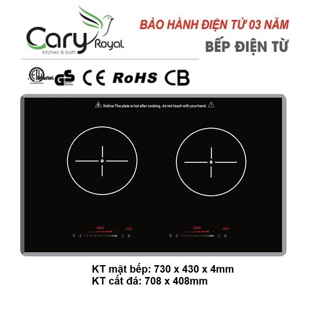 bep-dien-tu-cary-royal-b903