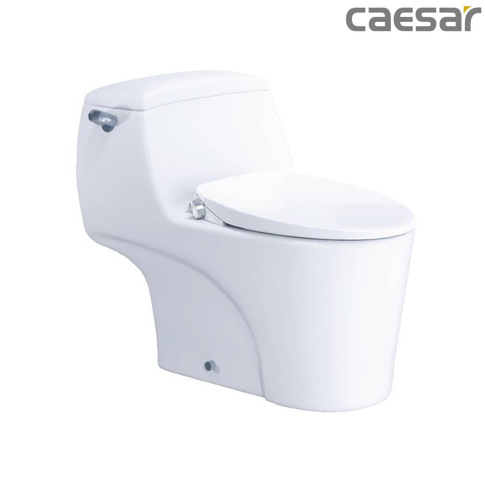 -tong-hop-cac-mau-bon-cau-lien-khoi-chinh-hang-caesar