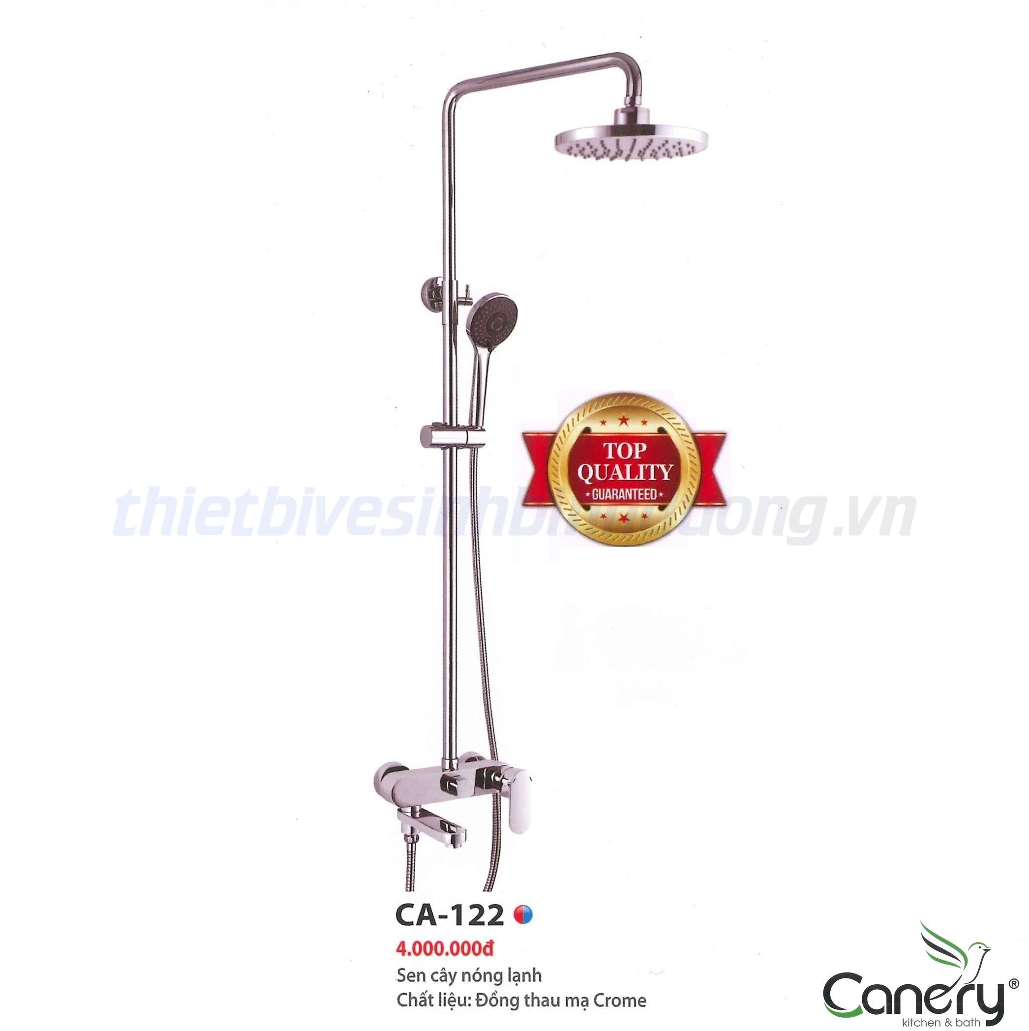 sen-cay-nong-lanh-canary-ca-122
