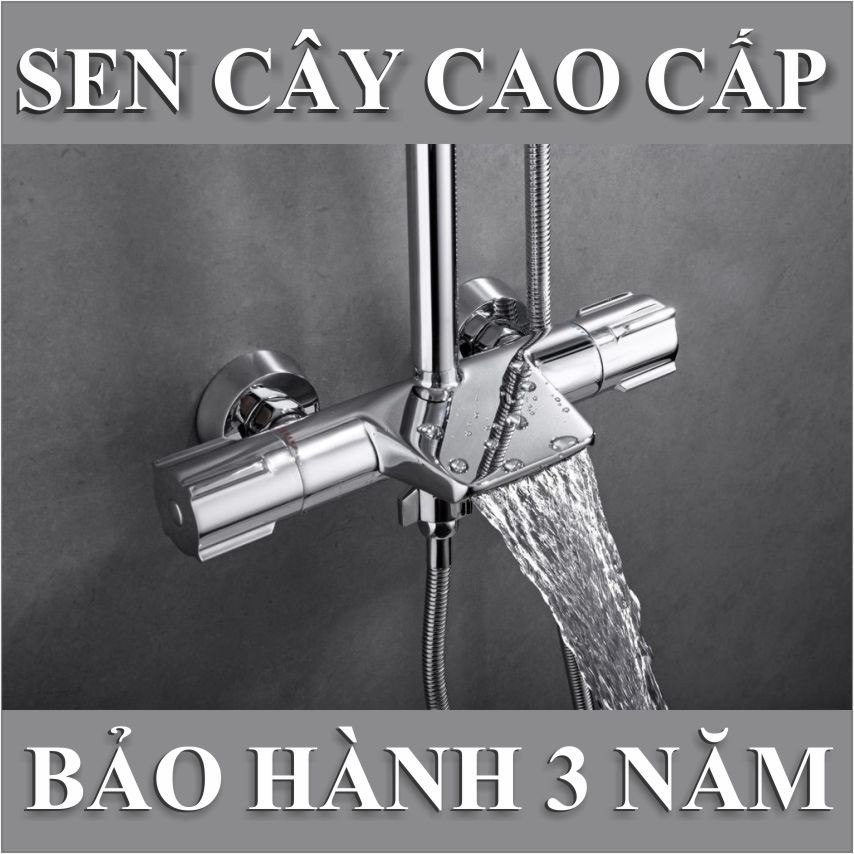 sen-cay-nong-lanh-cao-cap-cary-royal-ca-126