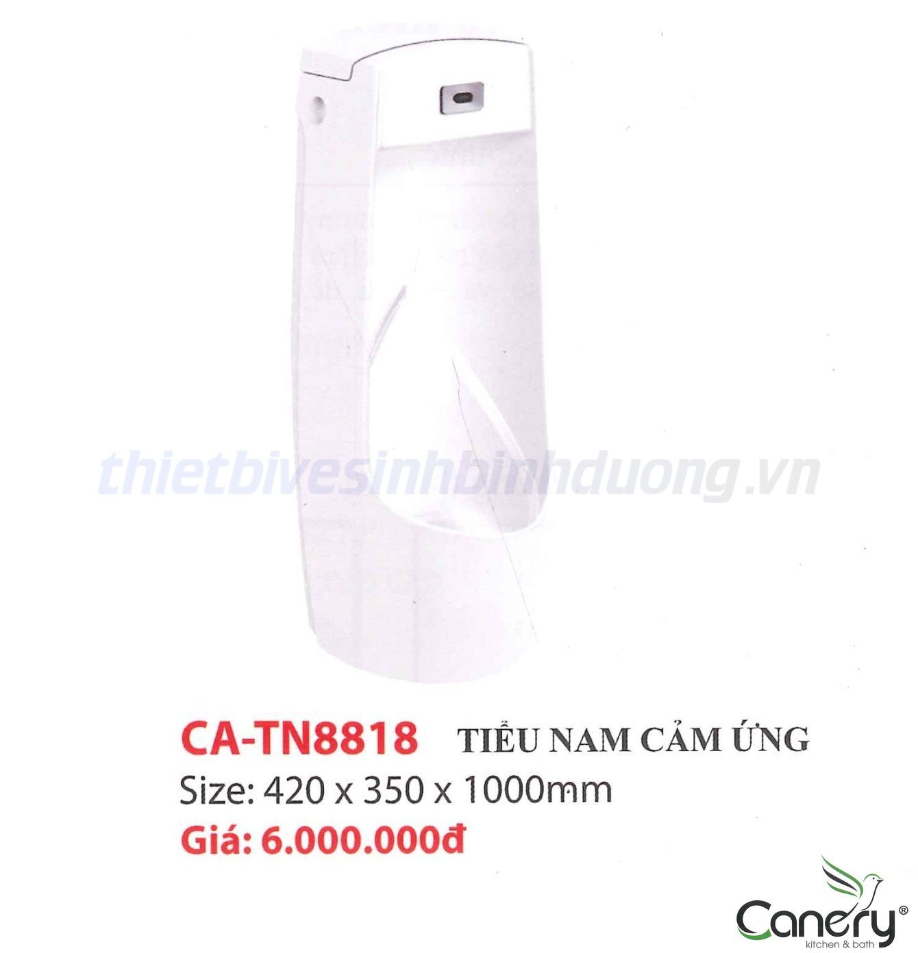 bon-tieu-nam-cam-ung-canary-ca-tn8818