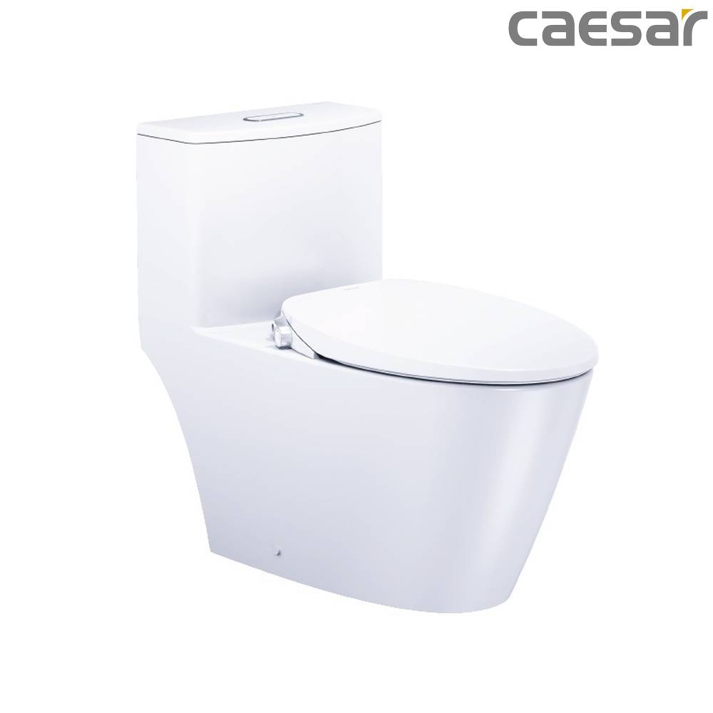 caesar-binh-duong-bon-cau-caesar-cd1363_taf060
