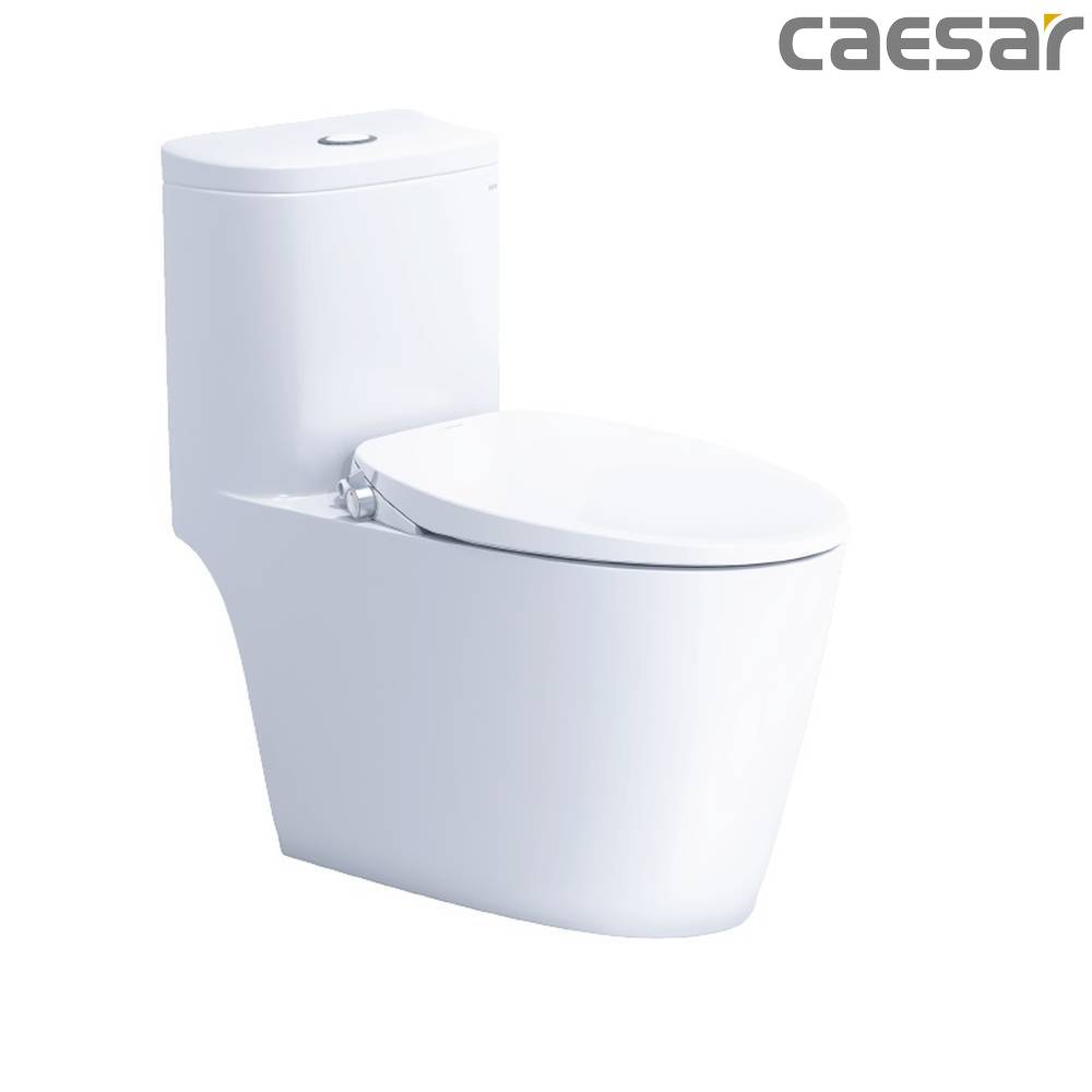 caesar-binh-duong-bon-cau-caesar-cd1364_taf060