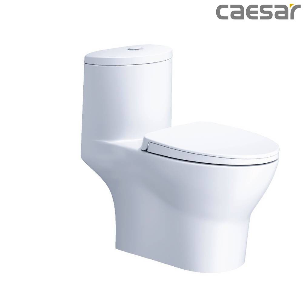 -tong-hop-cac-mau-bon-cau-lien-khoi-chinh-hang-caesar