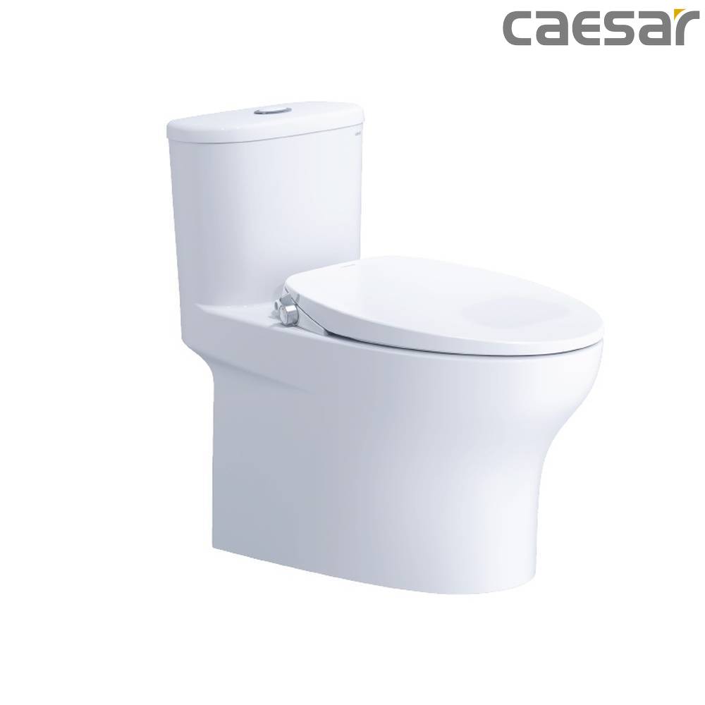 -tong-hop-cac-mau-bon-cau-lien-khoi-chinh-hang-caesar