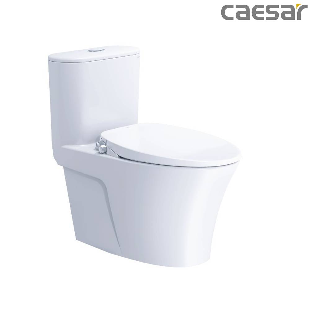 caesar-binh-duong-bon-cau-caesar-cd1395_taf060