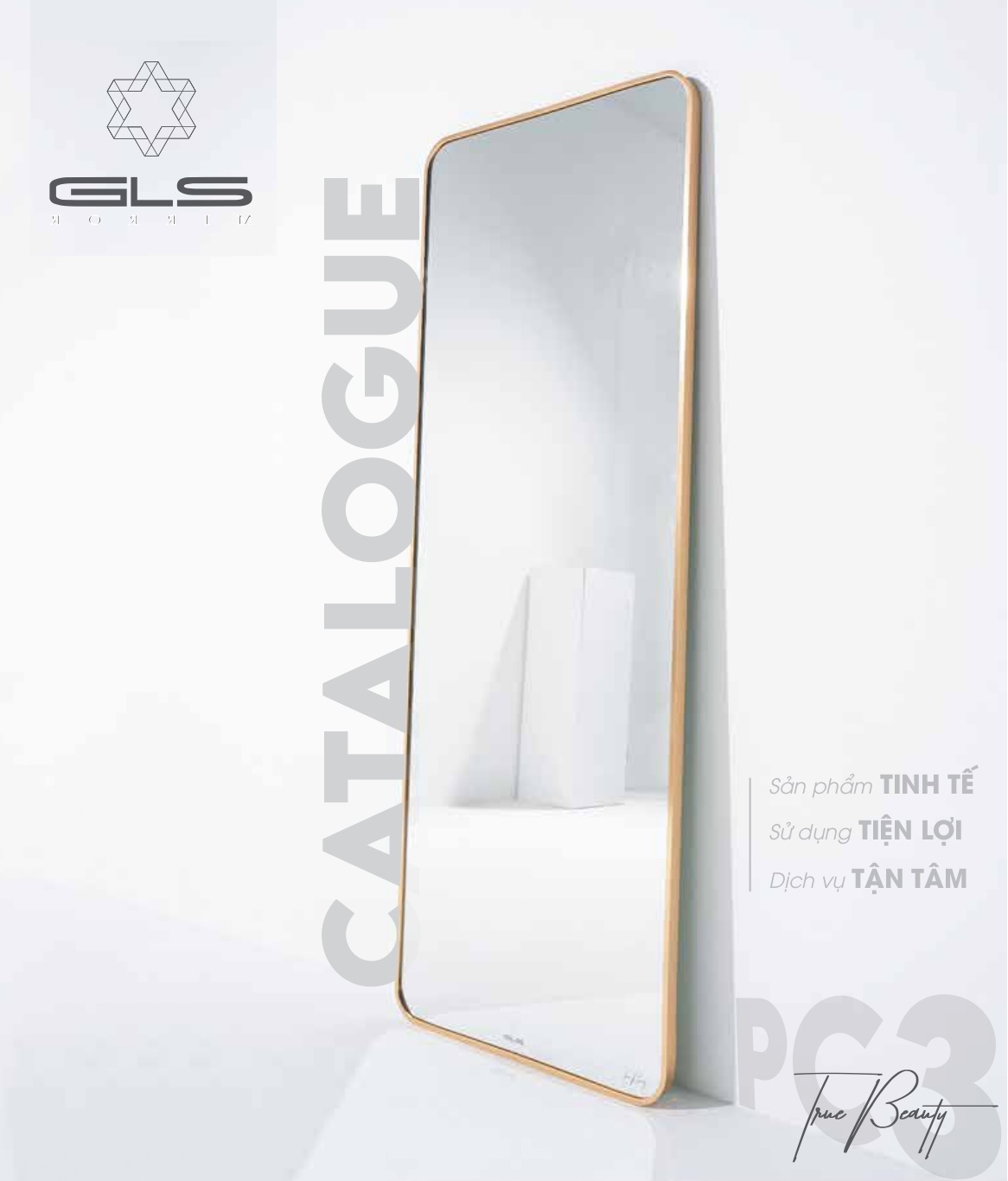 catalogue-va-bang-gia-dai-ly-guong-soi-gls-moi-nhat-2024