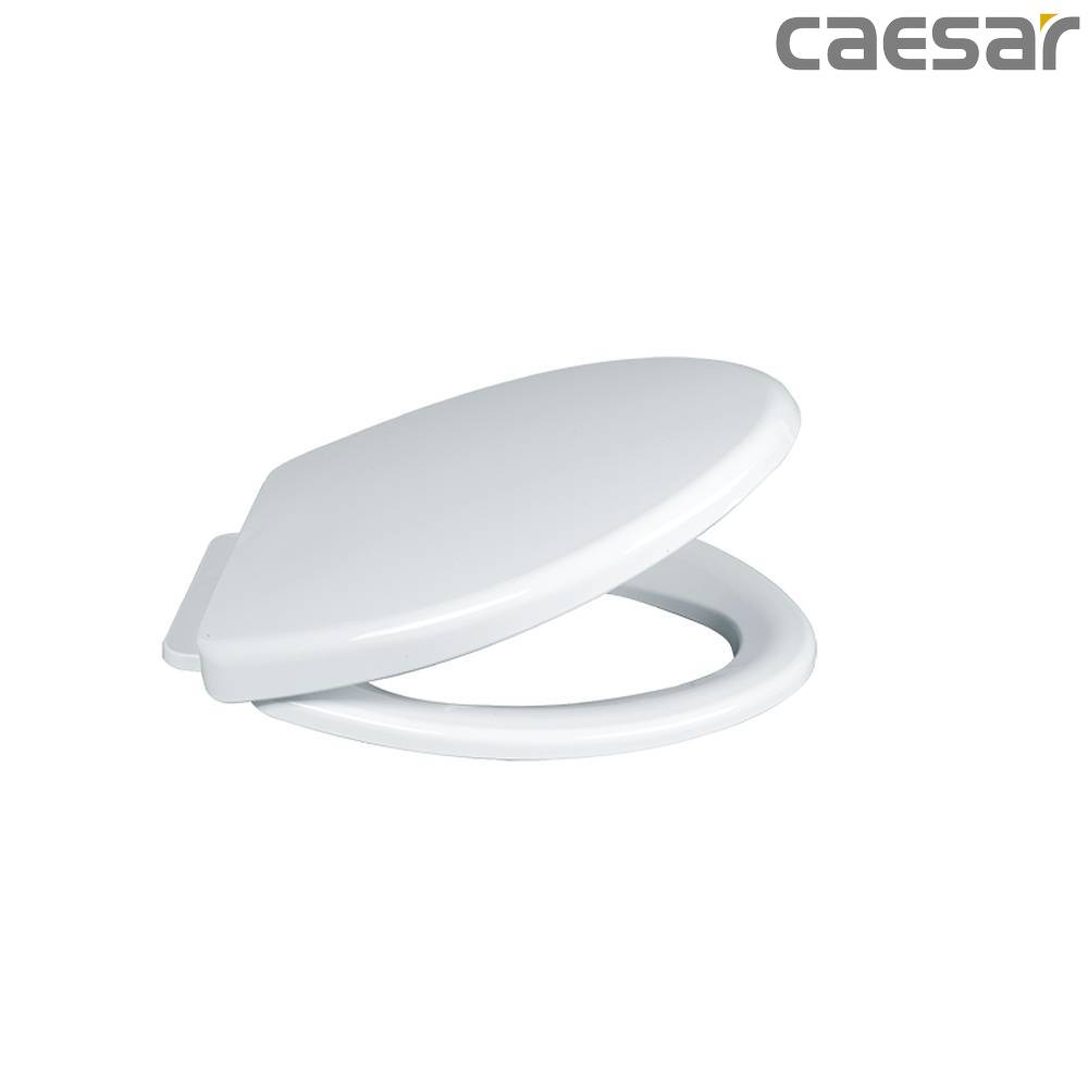 caesar-binh-duong-nap-bon-cau-caesar-ms220