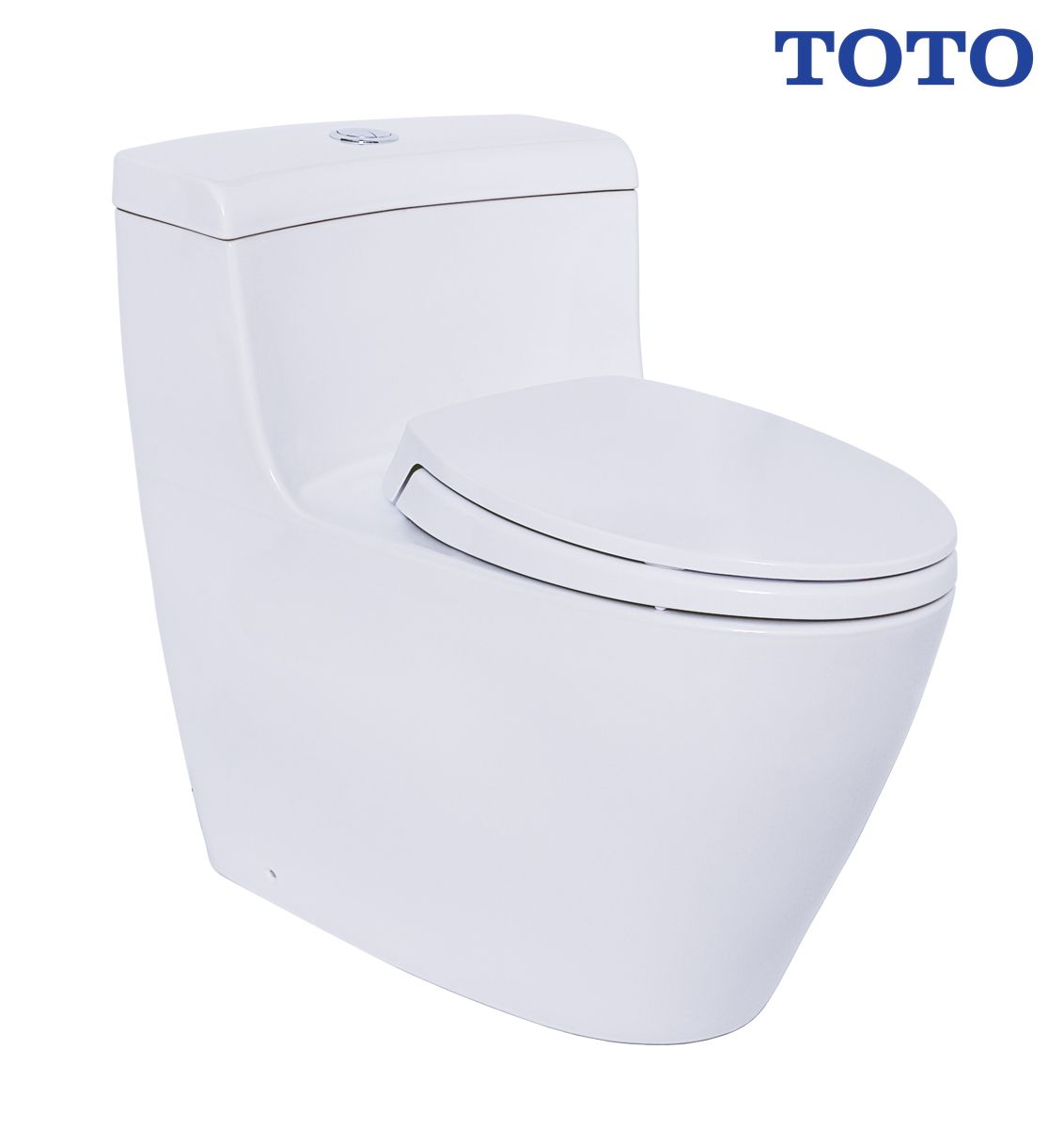bon-cau-toto-ms636dt2