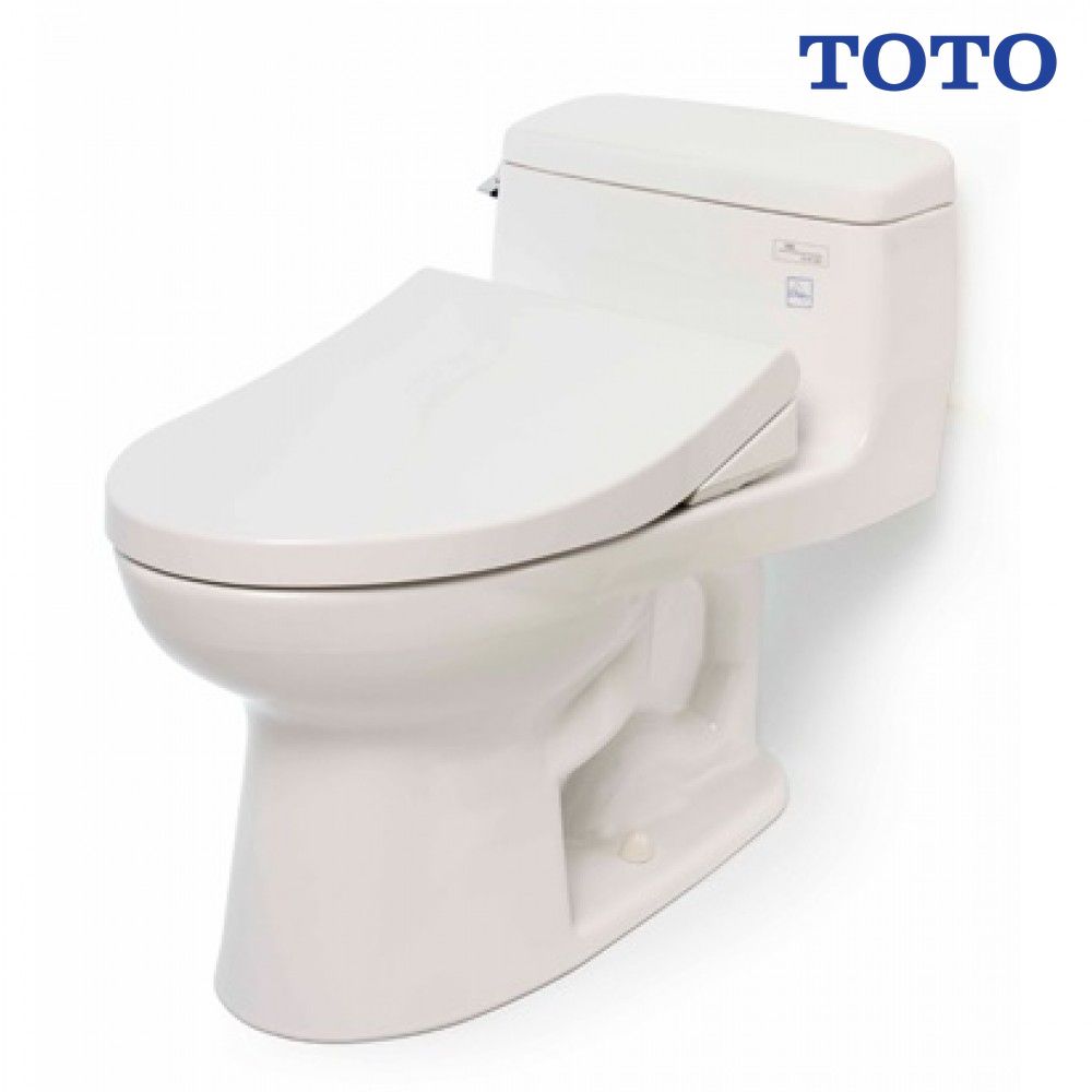 bon-cau-toto-ms864e4-nap-rua-co