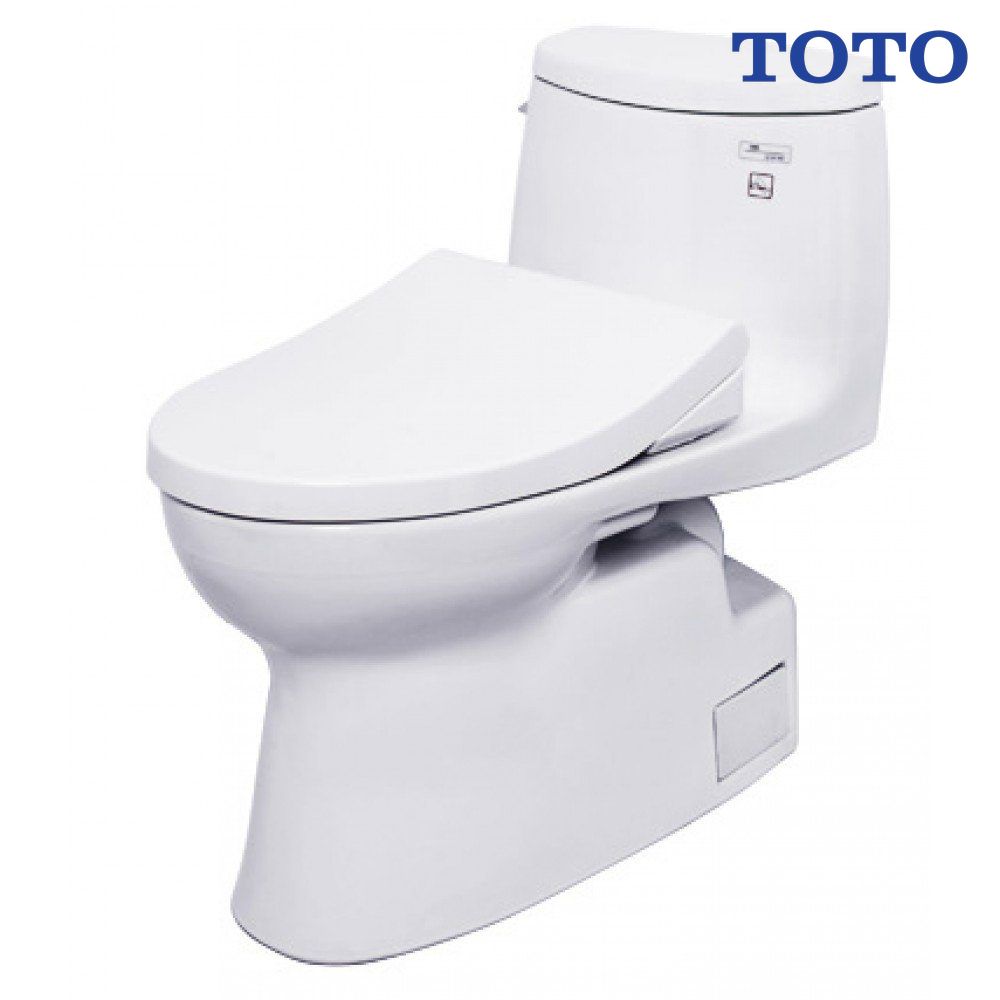 bon-cau-toto-ms905e4-nap-rua-co
