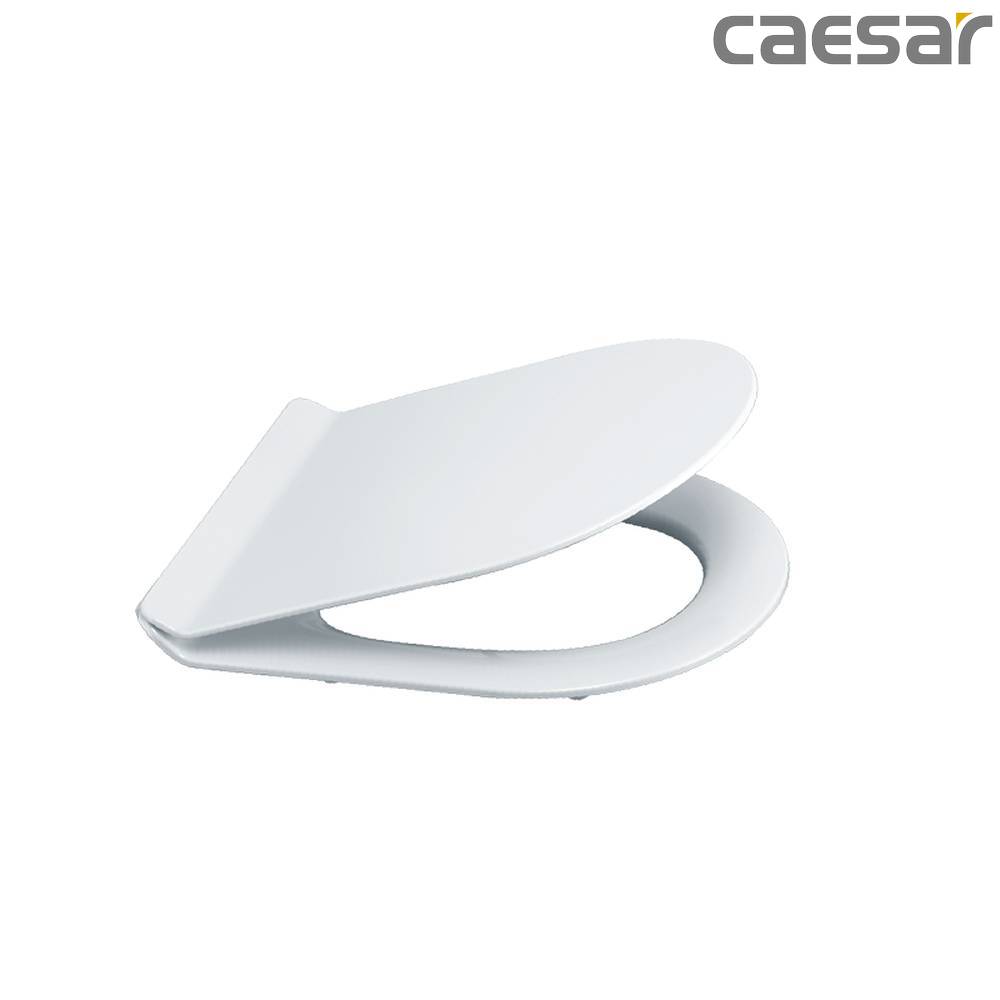 caesar-binh-duong-nap-bon-cau-caesar-mu237