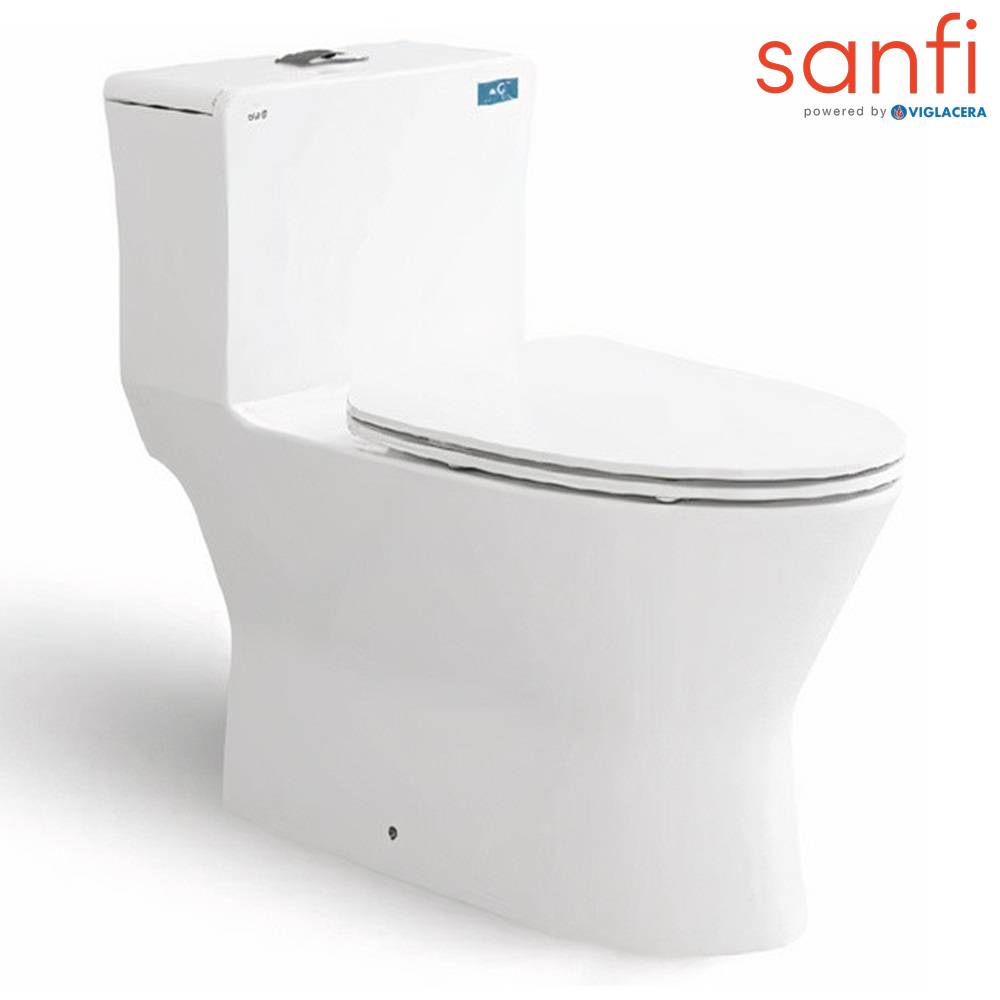 bon-cau-viglacera-sanfi-s-11-800