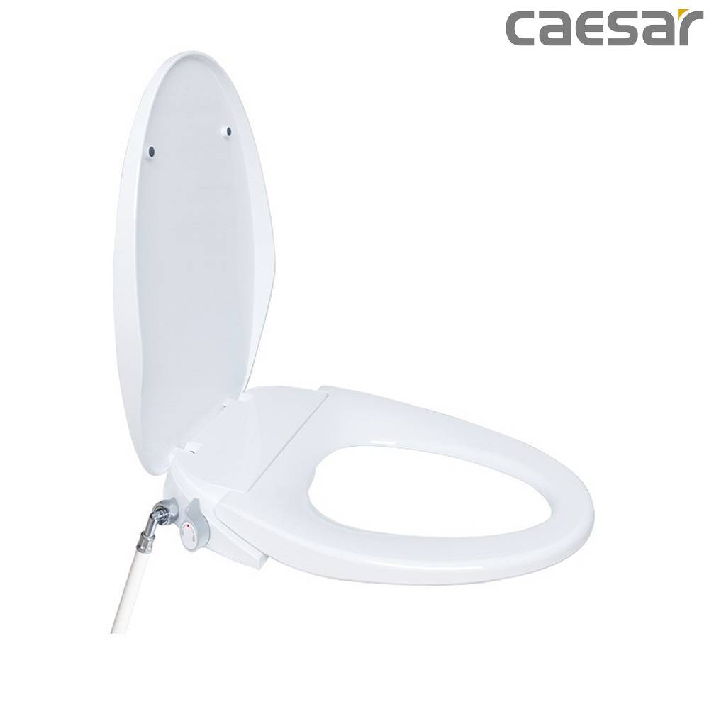 caesar-binh-duong-nap-bon-cau-caesar-taf060