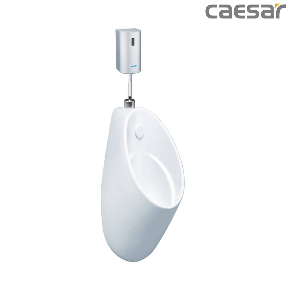 caesar-binh-duong-bon-tieu-caesar-u0211_a624