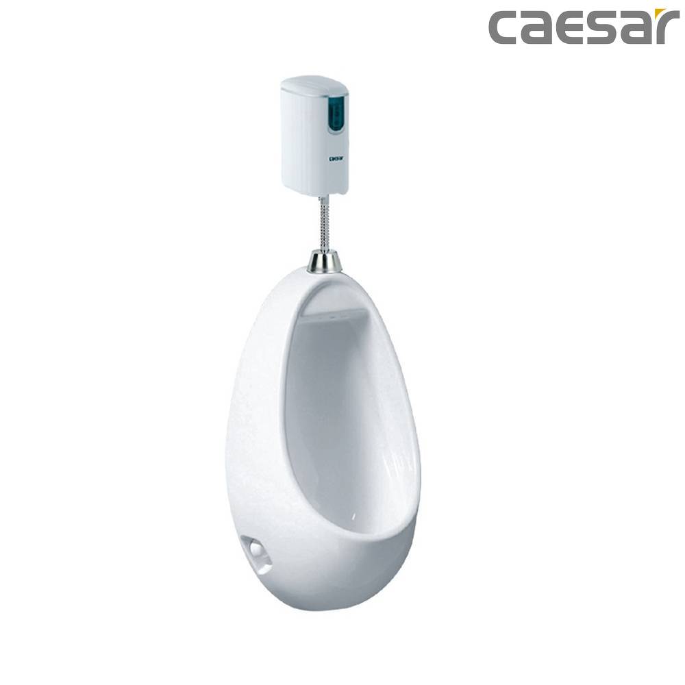 caesar-binh-duong-bon-tieu-caesar-u0221_a656