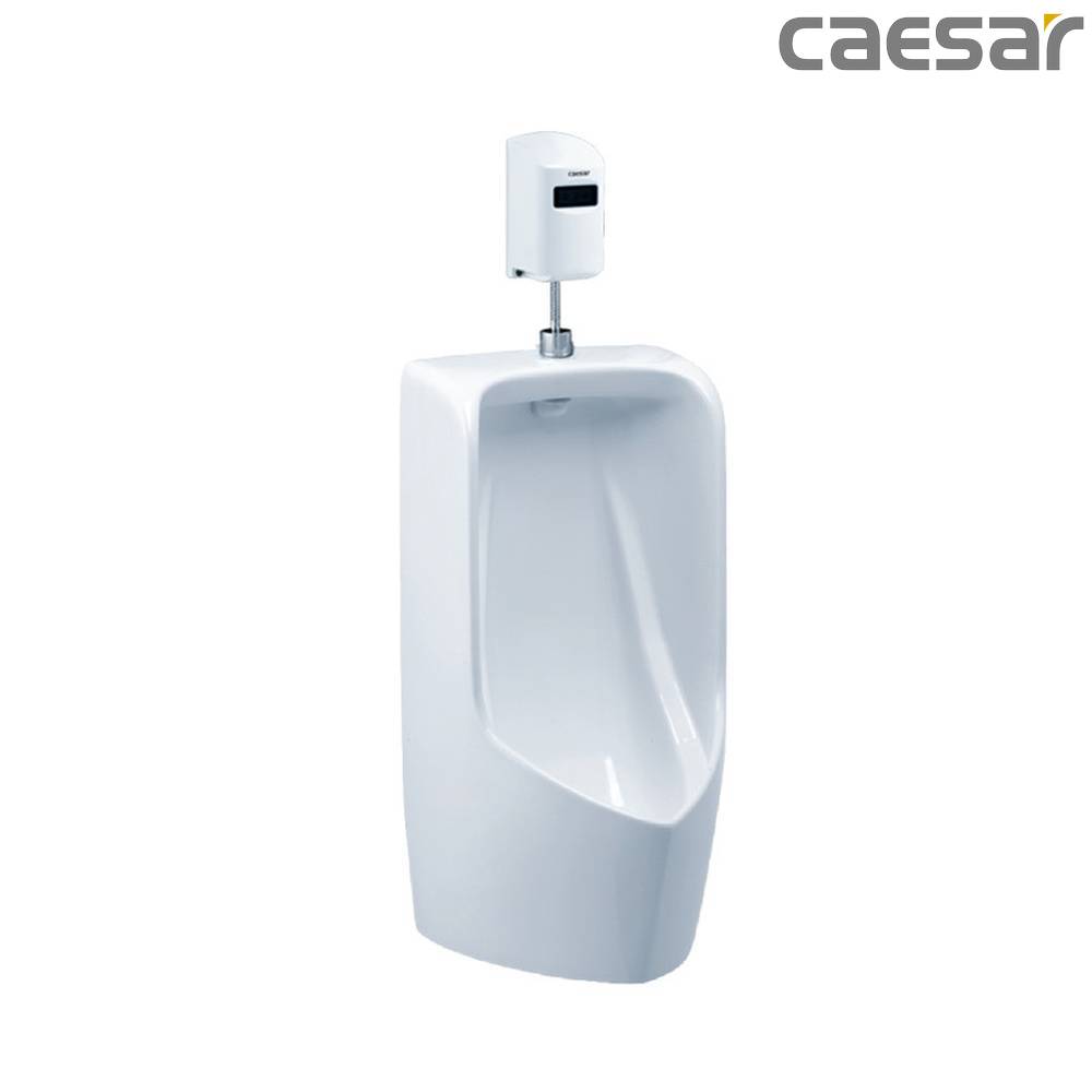 caesar-binh-duong-bon-tieu-caesar-u0282a_a657dc