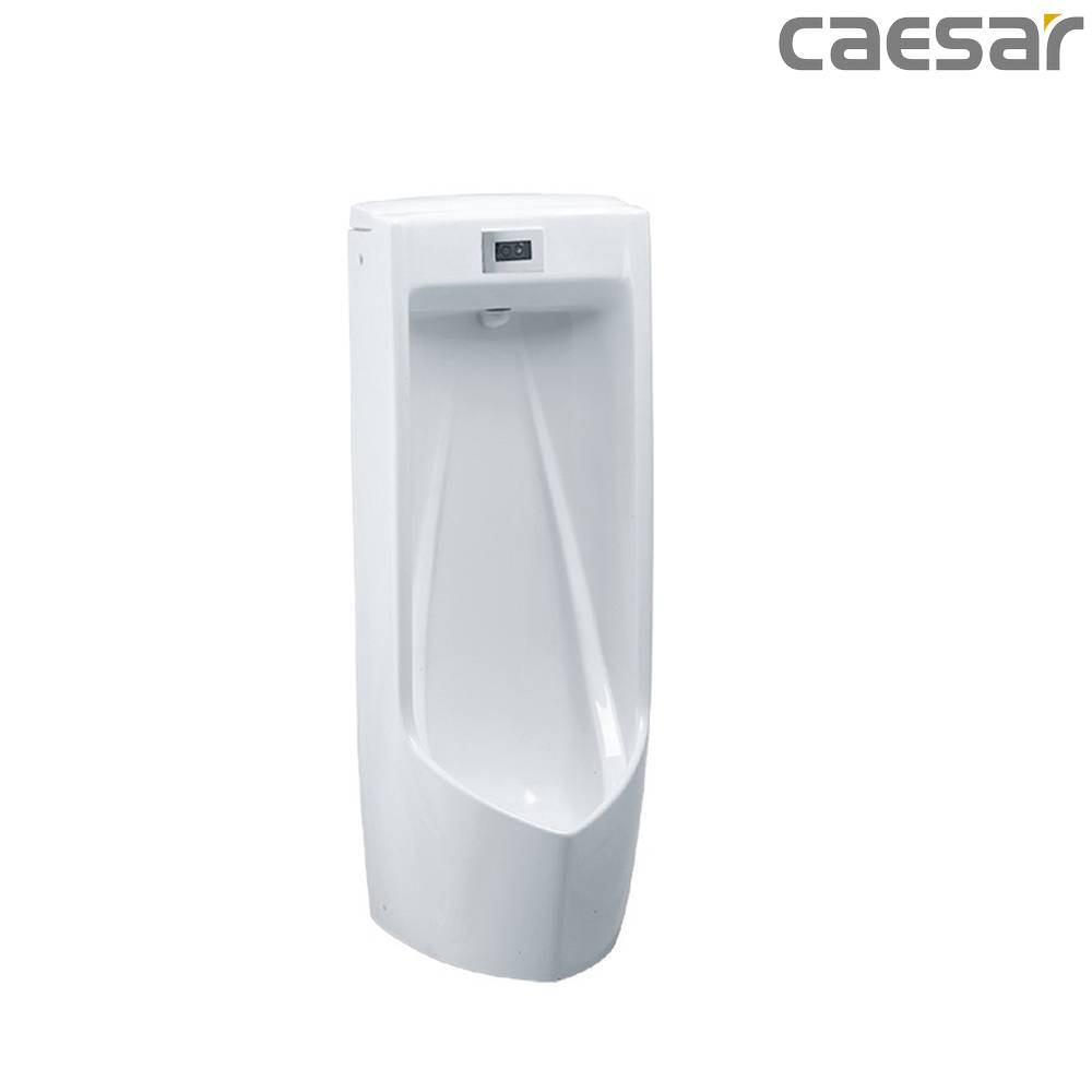 caesar-binh-duong-bon-tieu-caesar-ump0284