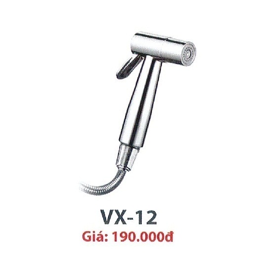 voi-xit-ve-sinh-cary-royal-vx-12