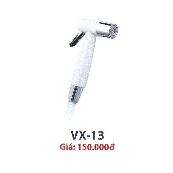 voi-xit-ve-sinh-cary-royal-vx-13