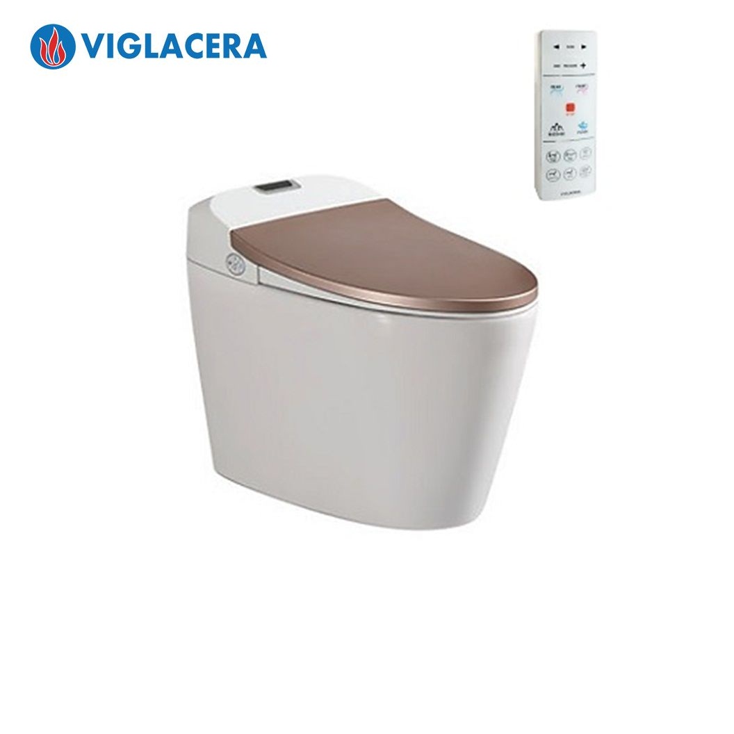 bon-cau-thong-minh-viglacera-v94gw