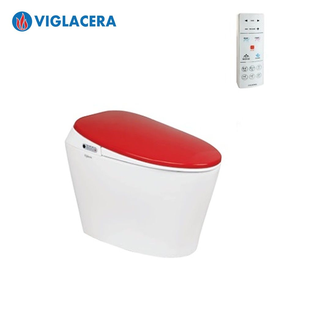 bon-cau-thong-minh-viglacera-v94r