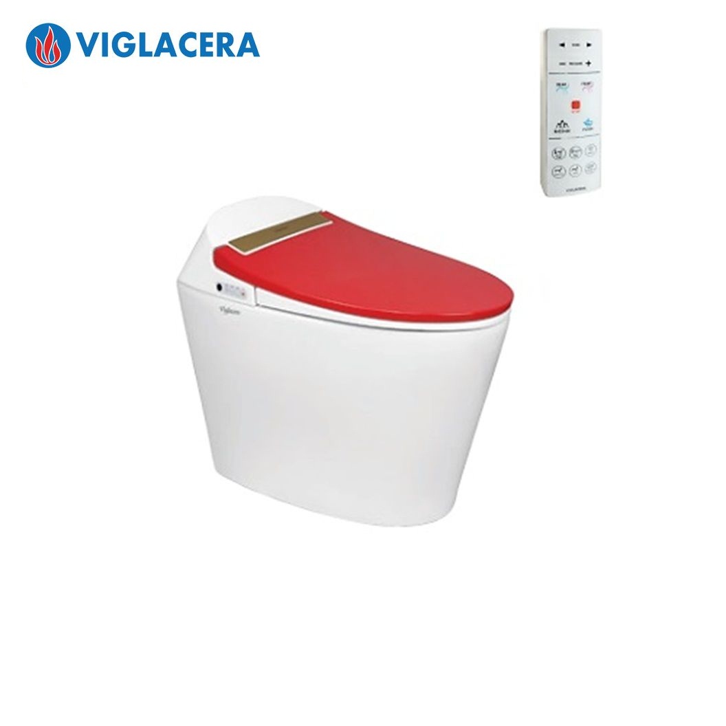 bon-cau-thong-minh-viglacera-v94rw