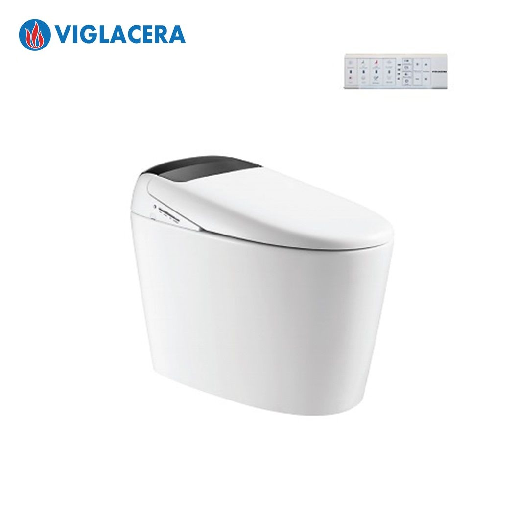 bon-cau-thong-minh-viglacera-v97wb