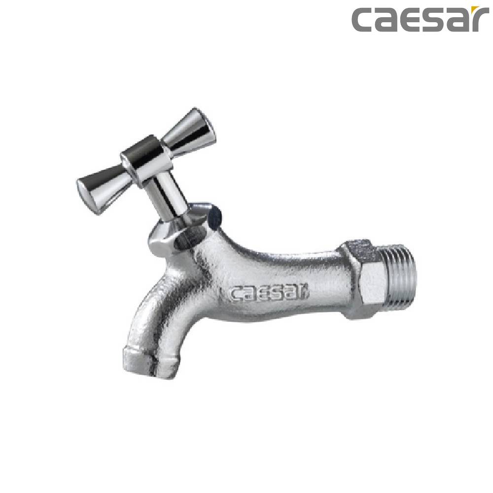 caesar-binh-duong-voi-ho-gan-tuong-caesar-w035_1