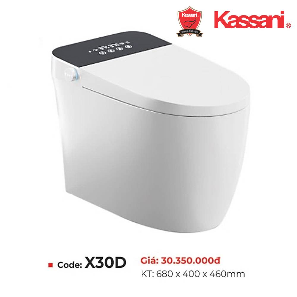 bon-cau-thong-minh-kassani-x30d