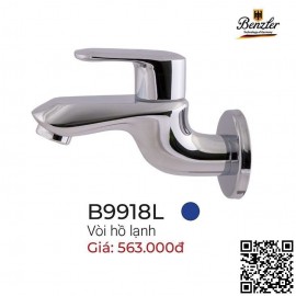 voi-ho-gan-tuong-benzler-b9918l