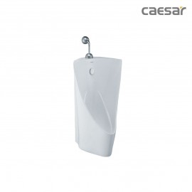 bon-tieu-caesar-u0232