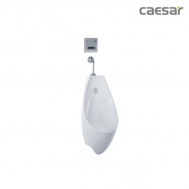 bon-tieu-caesar-u0267