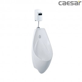 caesar-binh-duong-bon-tieu-caesar-u0267_a657dc
