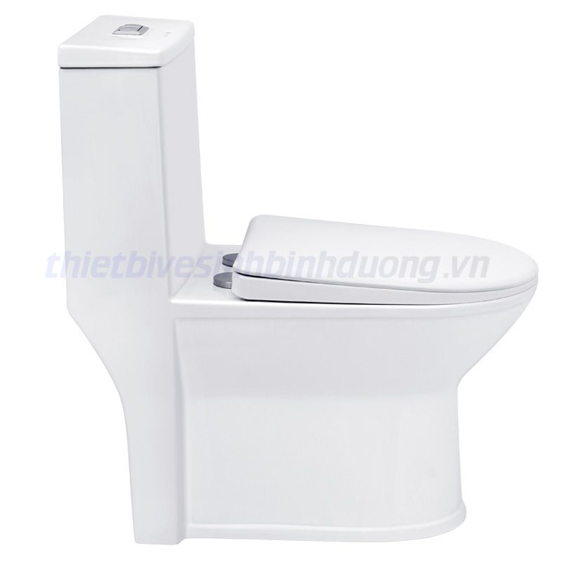 Bồn cầu liền khối Basic BS104