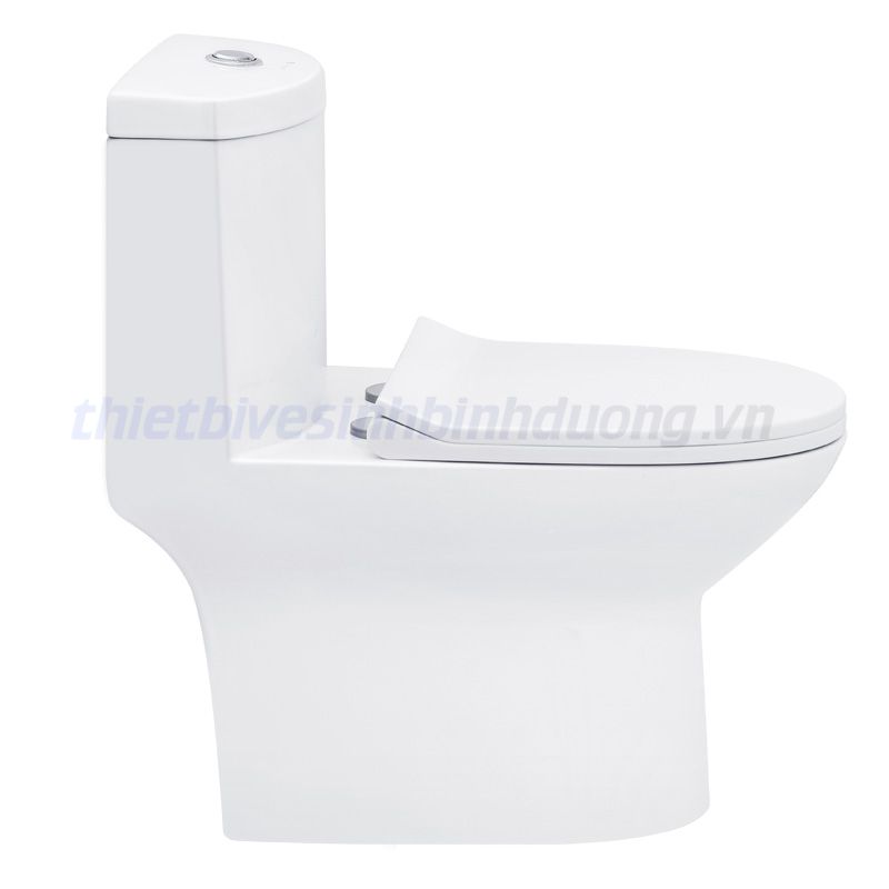 Bồn cầu liền khối Basic BS108